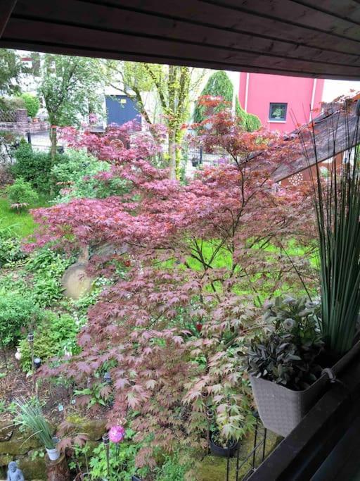Willkommen Im Casa Felice, Der Wohlfuehl Oase Mit Balkon, 4 Betten Und Homeoffice Platz Aidlingen Extérieur photo
